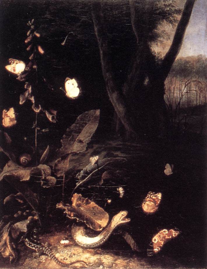 Still-life with Plants and Reptiles ery